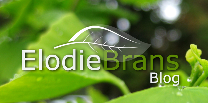 Elo_Brans's profile banner image