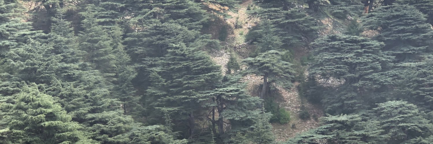 MarkMulqueen's profile banner image