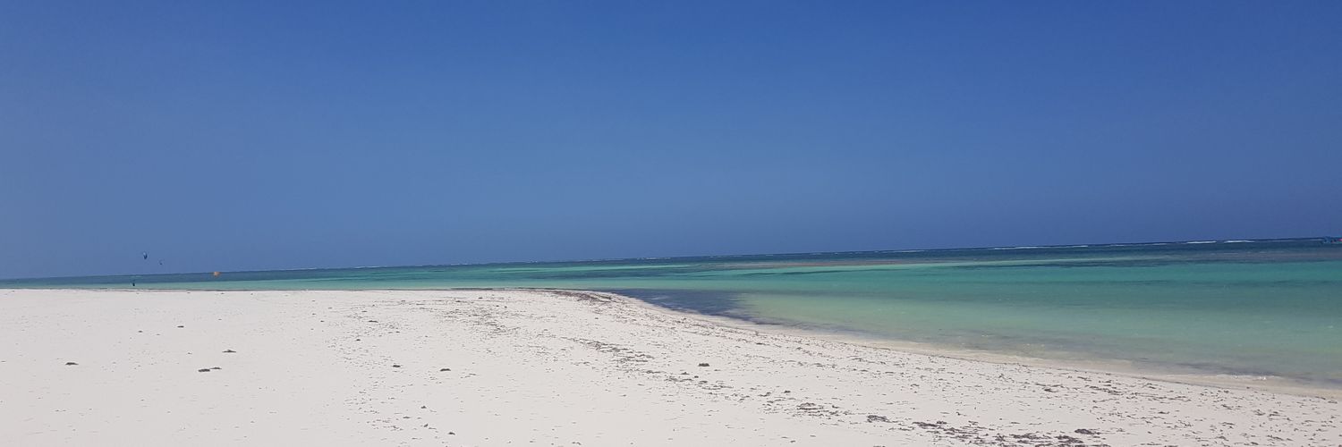 Bellamousse's profile banner image