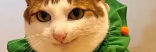 viledaelif's profile banner image