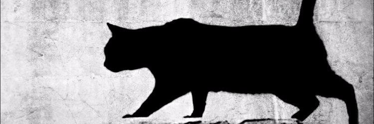 MysteryWay_'s profile banner image