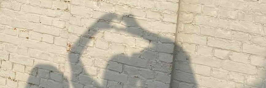 Mirthe_vdb's profile banner image
