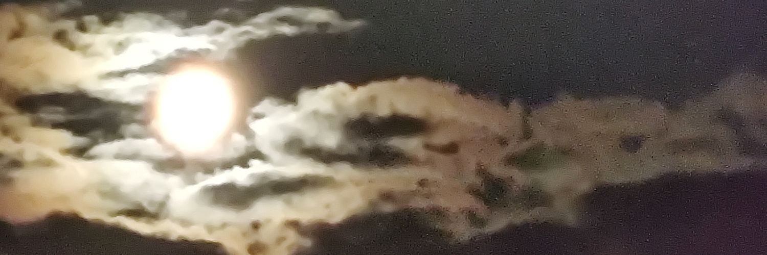 Nimbus394's profile banner image