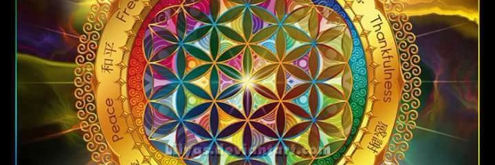 marcyacarvalho's profile banner image