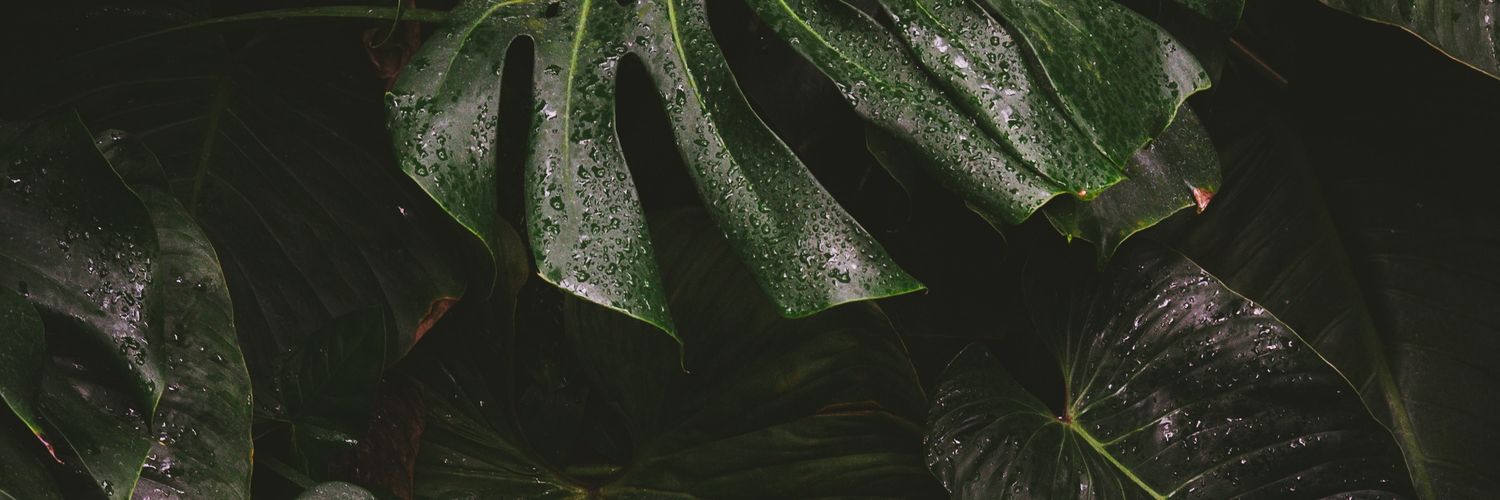 morozka123's profile banner image