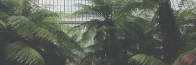 itsninanor's profile banner image