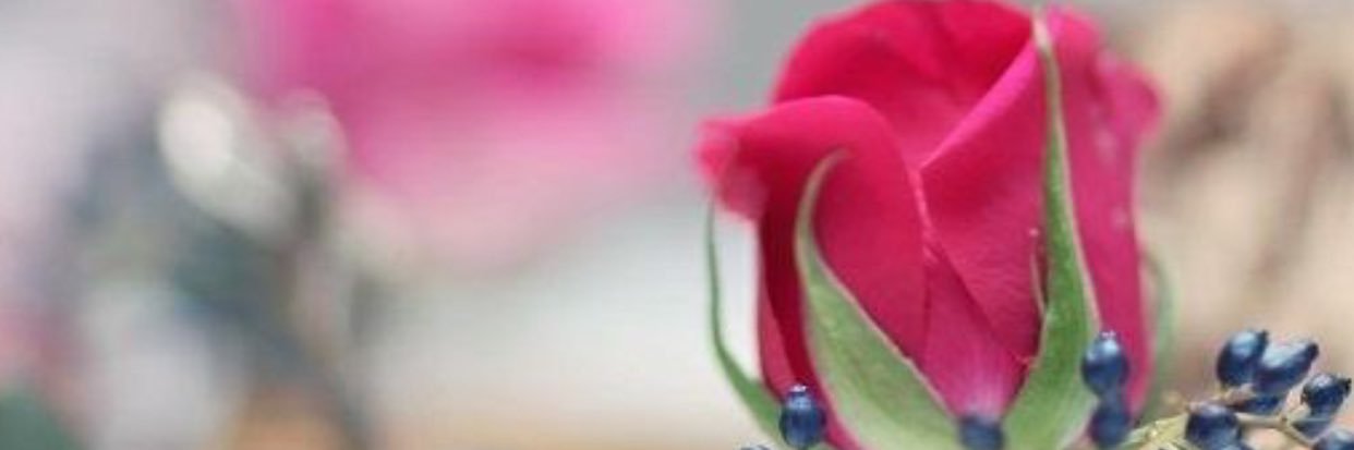 Am_AT2015's profile banner image