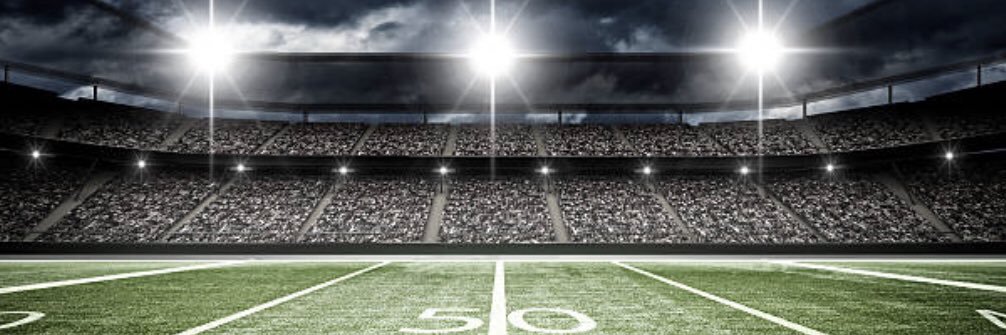 Robin Switzer banner