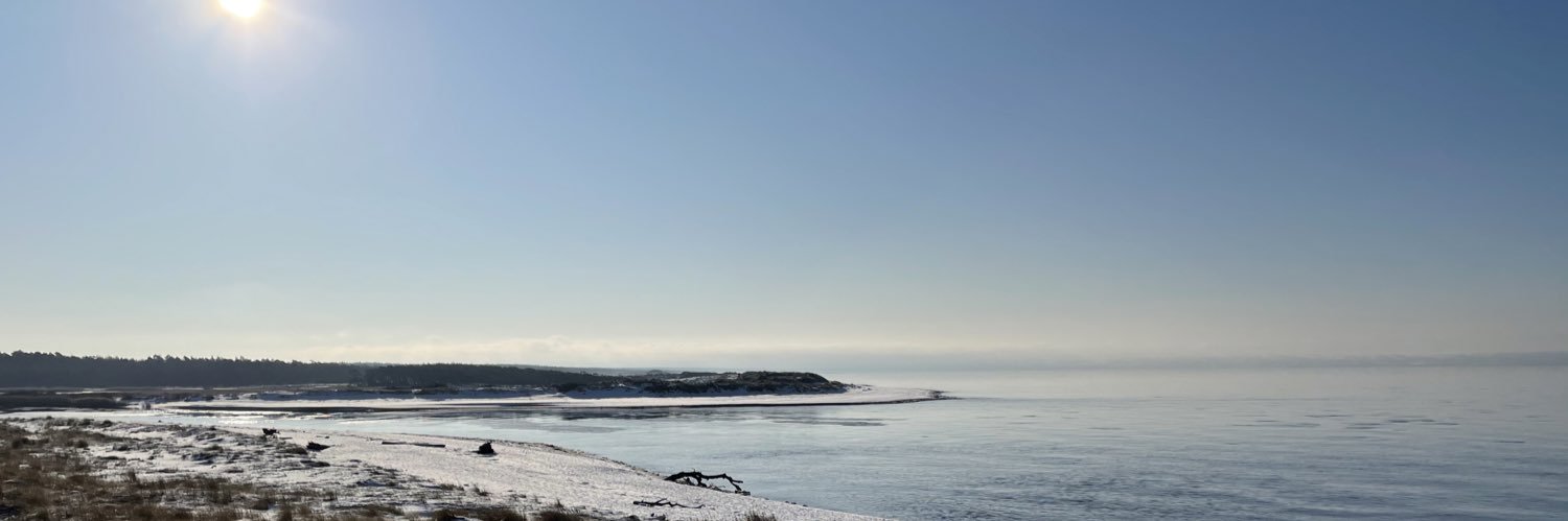 angsvik's profile banner image