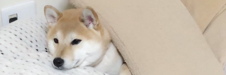 ptz0122's profile banner image