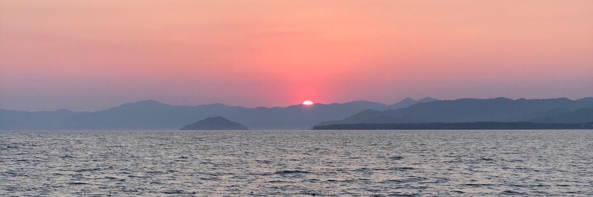 alimuslu48's profile banner image