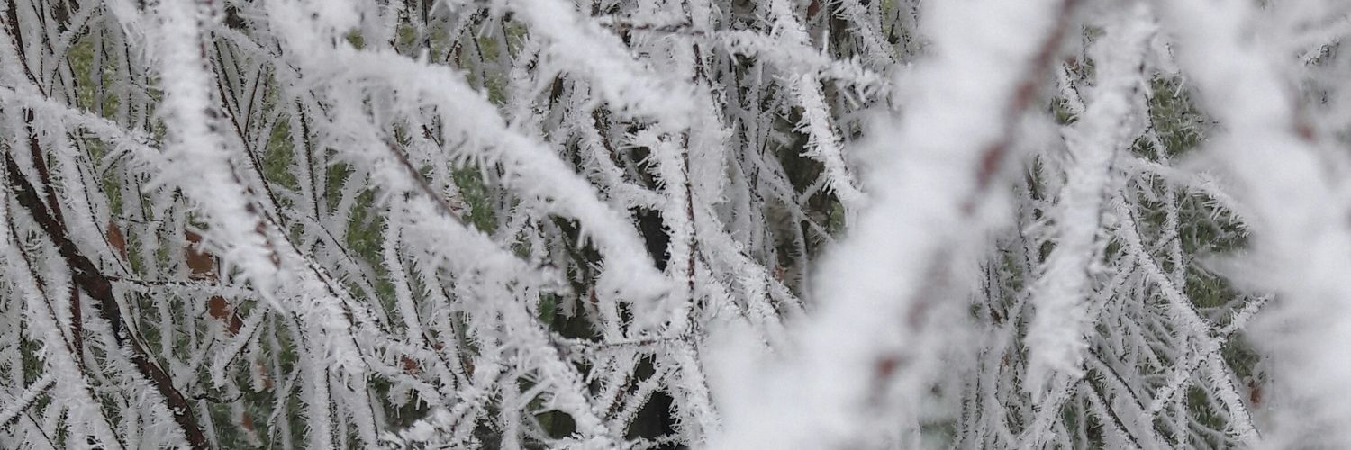 Pierre Leclerc banner