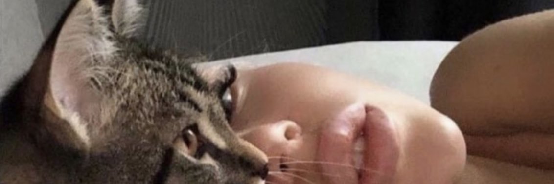 ThiagoWilson's profile banner image