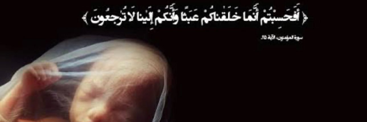 RealityHurts0's profile banner image