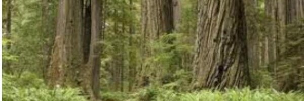 tfletch2 Profile Banner