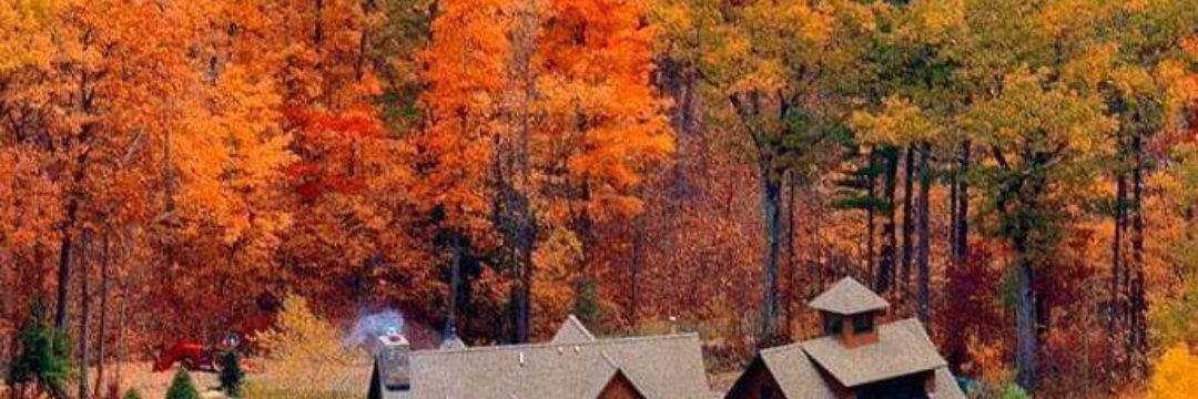 hott763's profile banner image