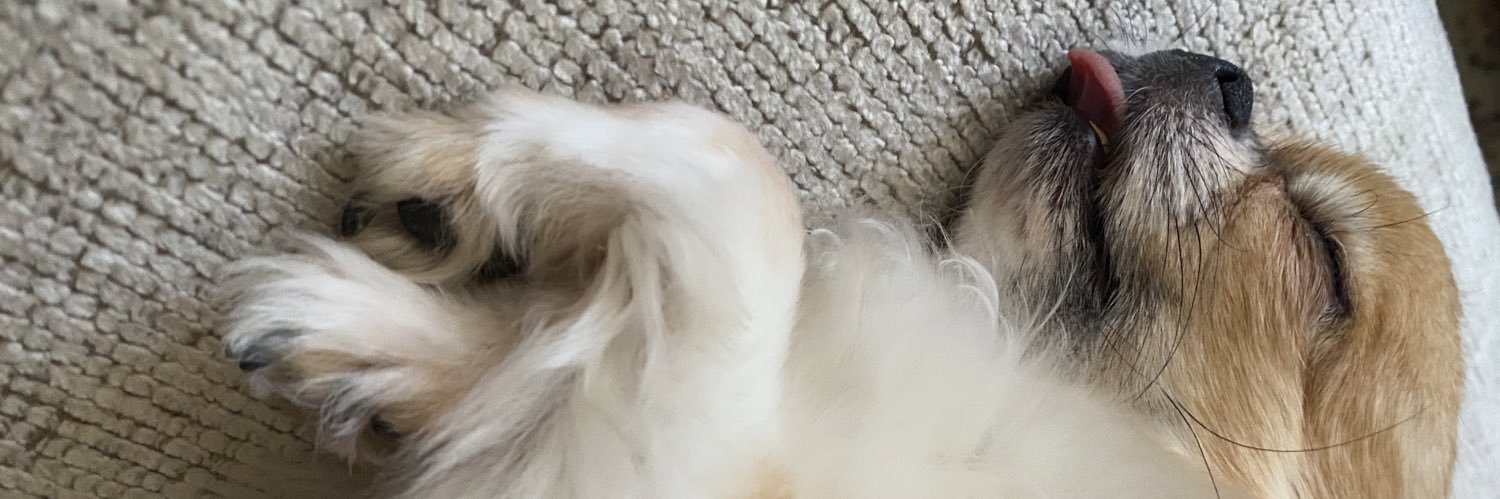 Sarah_BA's profile banner image