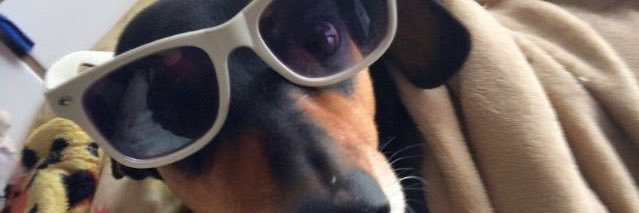 _LauMarques1's profile banner image