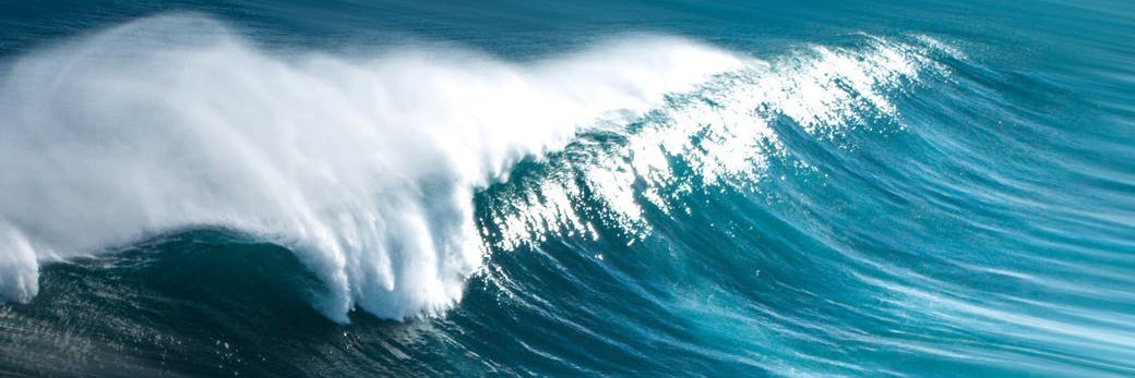 Matthieu Voet banner