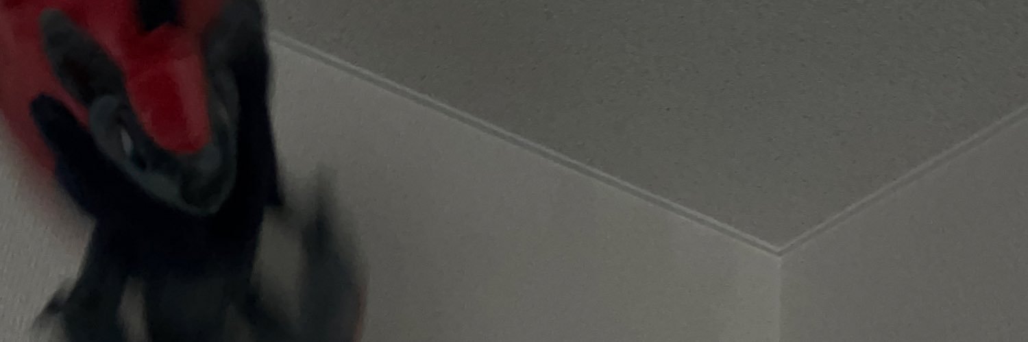 🪿💫 banner