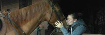 bexhillyer's profile banner image