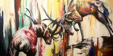 misskaccolo's profile banner image