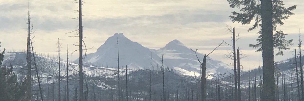 LizButterfield's profile banner image