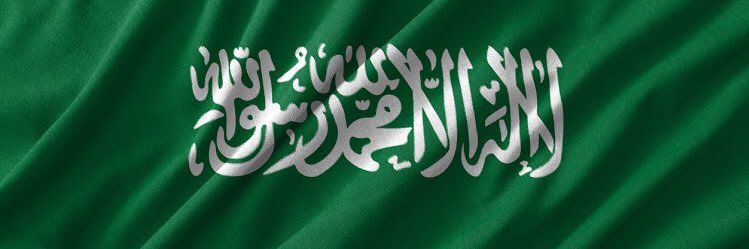 aldolaim's profile banner image