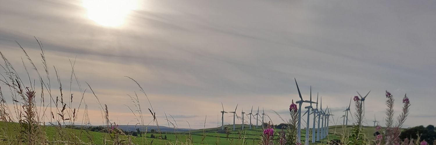 NobbyCycles's profile banner image