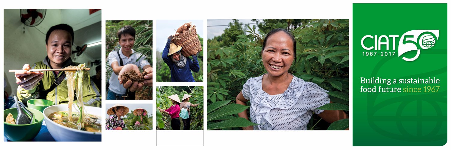 CIAT_Asia's profile banner image