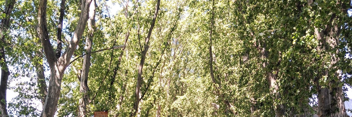 maxicerutti's profile banner image