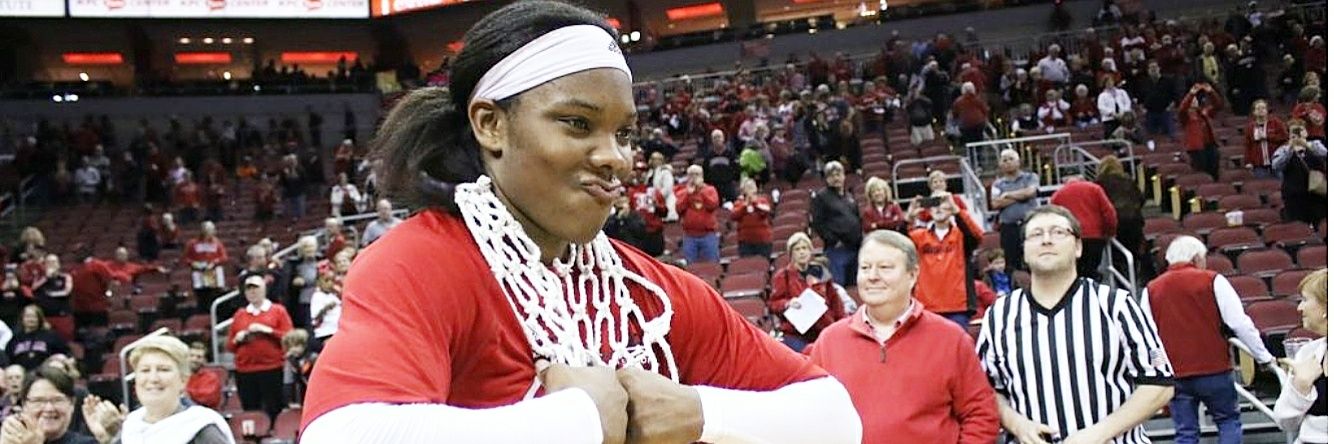 Louisville Cardinal banner