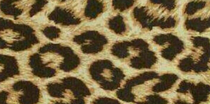 Raquelgm25's profile banner image