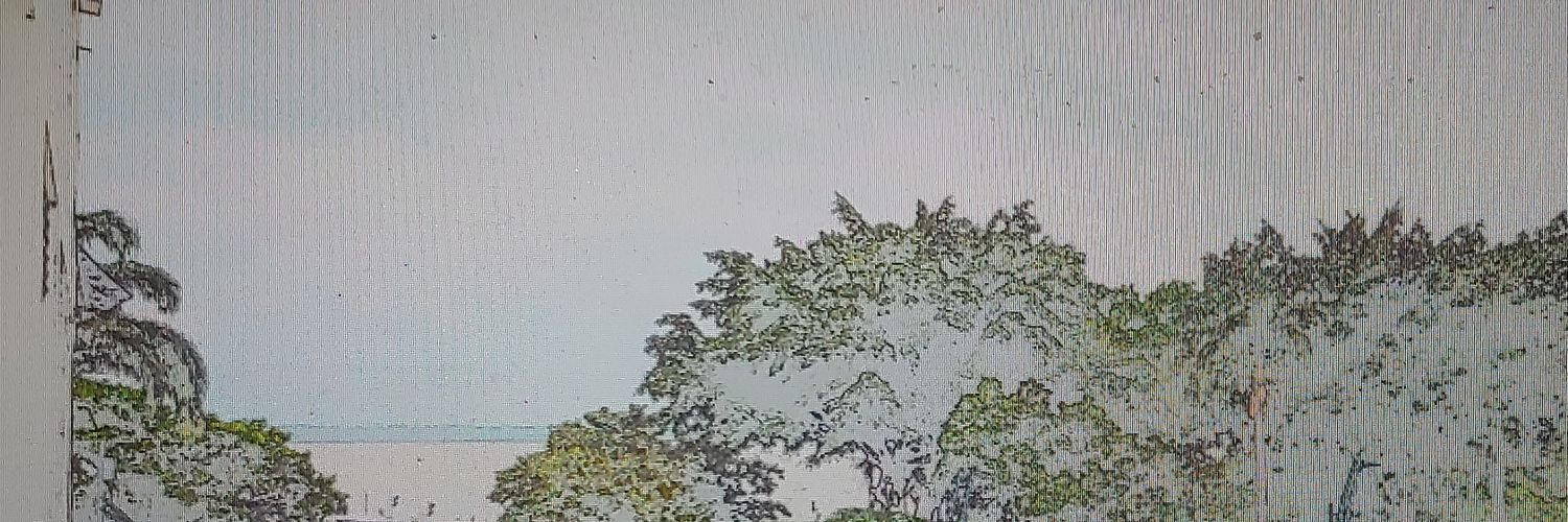juanpanet's profile banner image