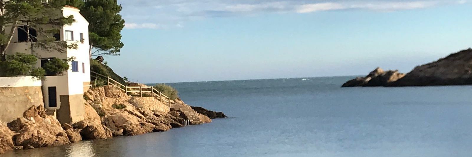 b e r n a t • r o s s i n y o l 🎗 banner