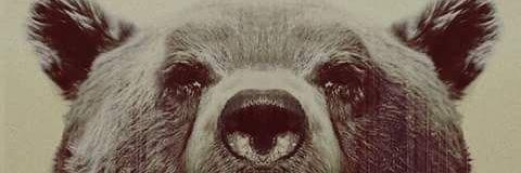 vanileiro's profile banner image
