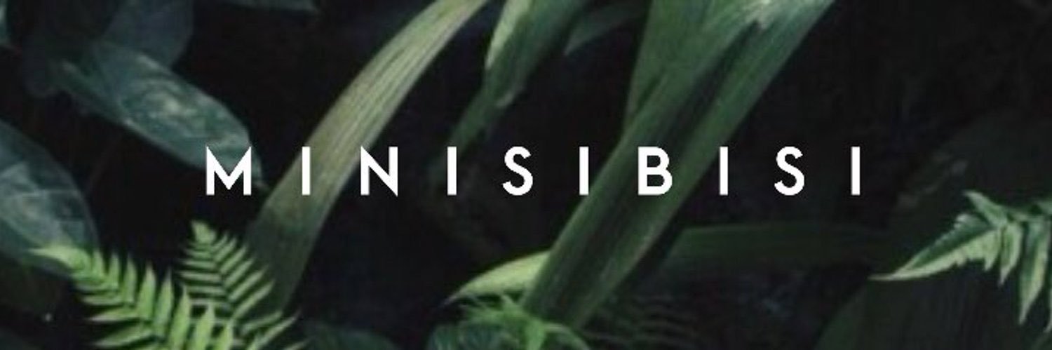 MINISIBISI's profile banner image