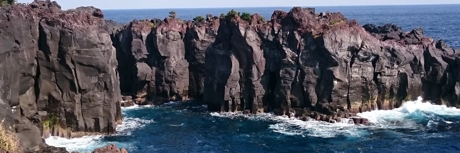 hayashisemi's profile banner image