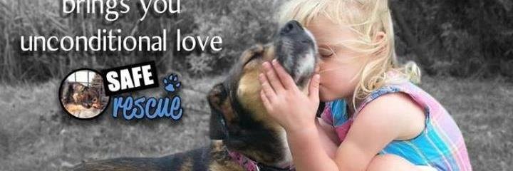 KellyHare1's profile banner image