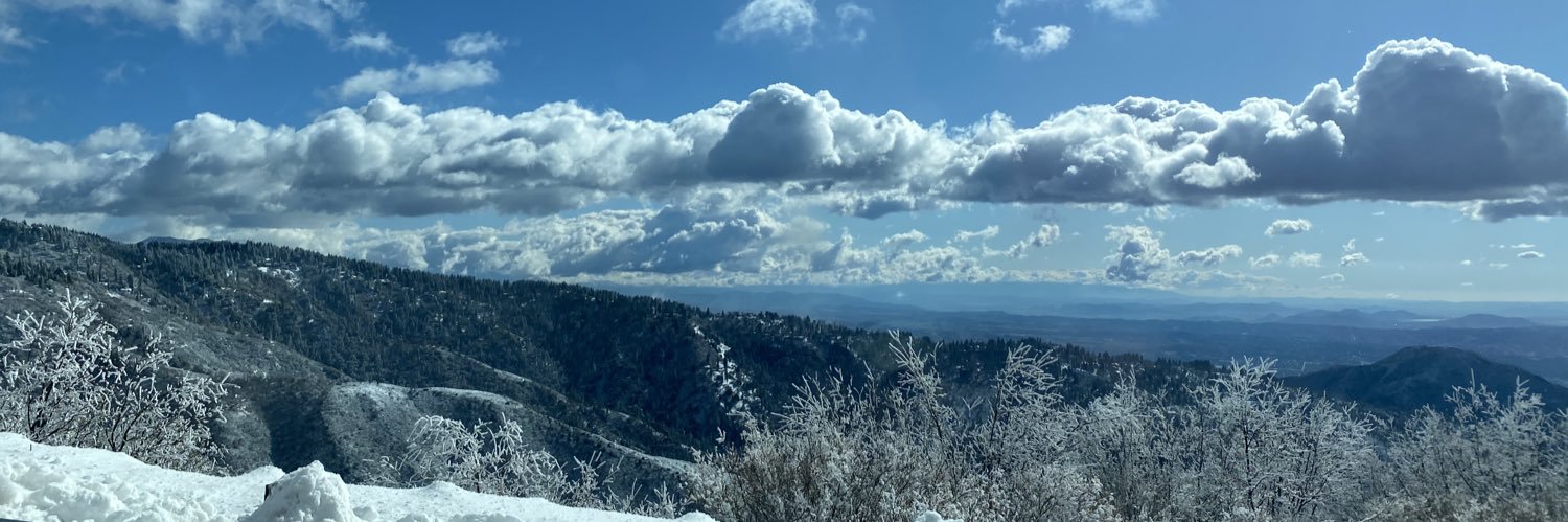 Joanna Mendelson banner