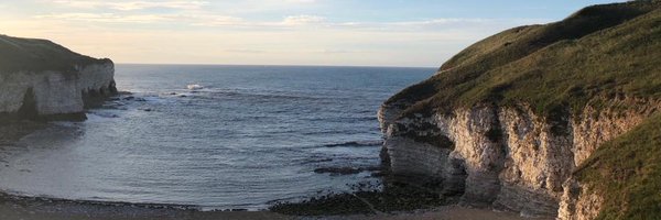 PoppyCalCat Profile Banner