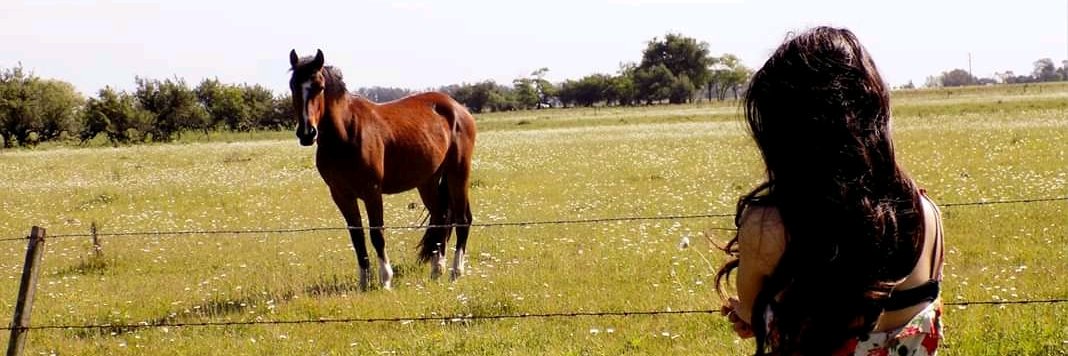 estefiduarte3's profile banner image