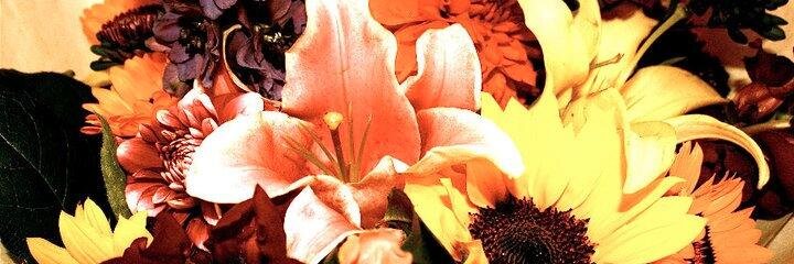 abigailross49's profile banner image