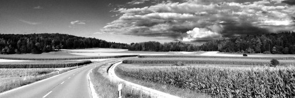 AustinKristina Profile Banner