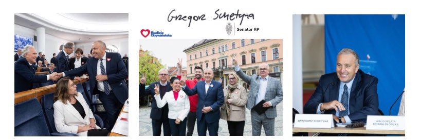 Grzegorz Schetyna banner