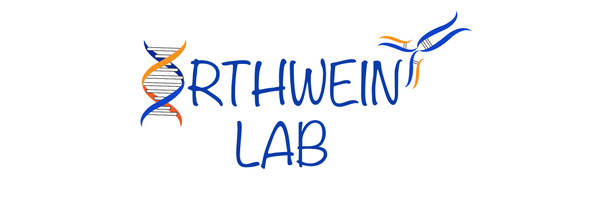 orthweinlab1 Profile Banner