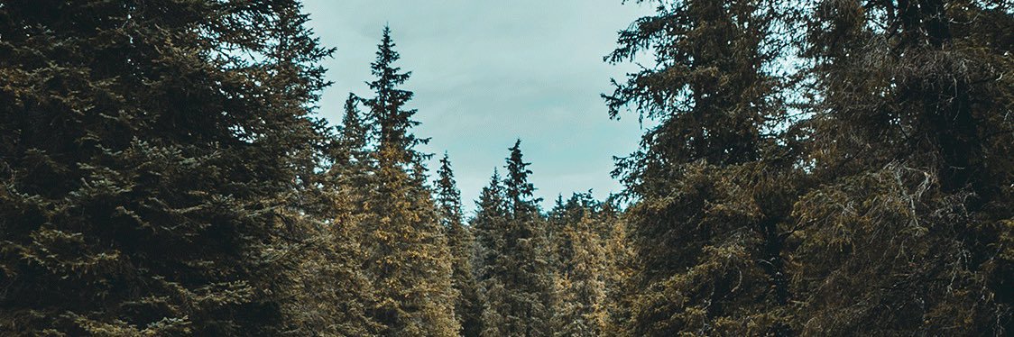 jozhanny's profile banner image