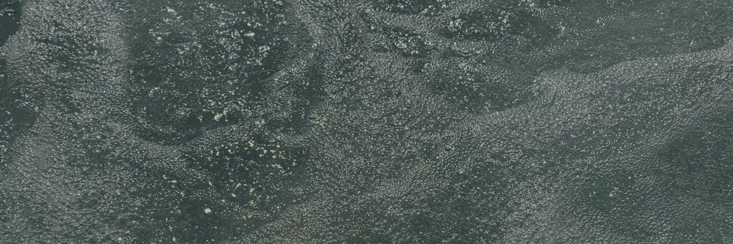 juliette_scheer's profile banner image
