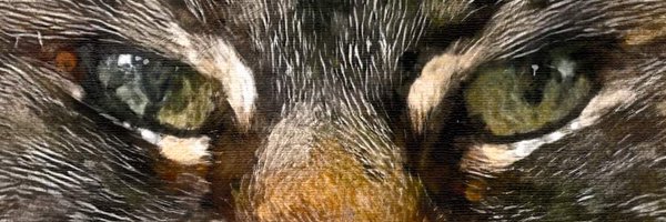 adryan247 Profile Banner