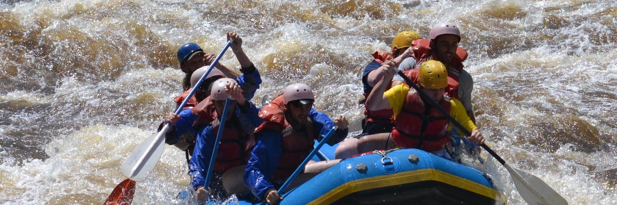 Sean Kleckner banner